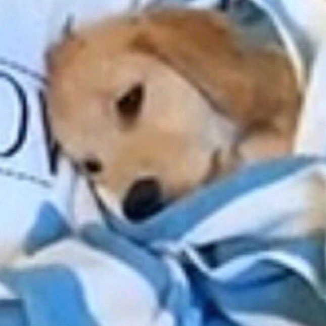 𝑑𝑢𝑑𝑎 🎌༄ tweet media