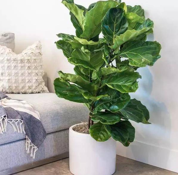 kristin dutchak tweet media