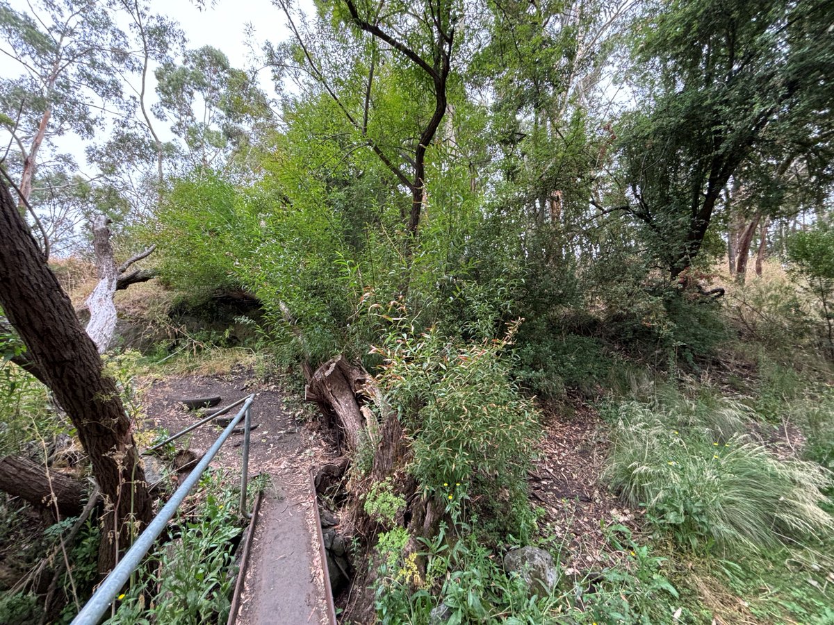 Glenelg Hopkins CMA tweet media