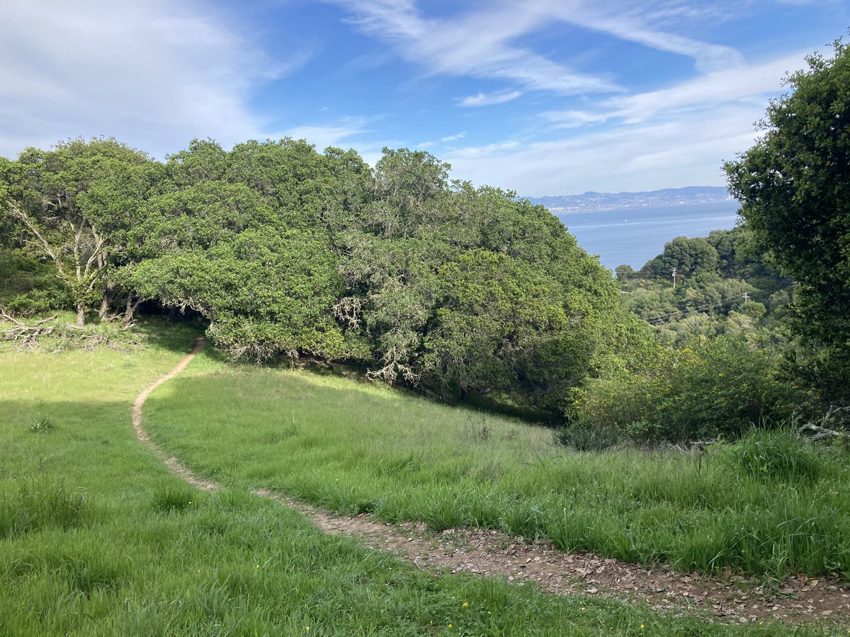 Crossbearer🇻🇦 tweet media