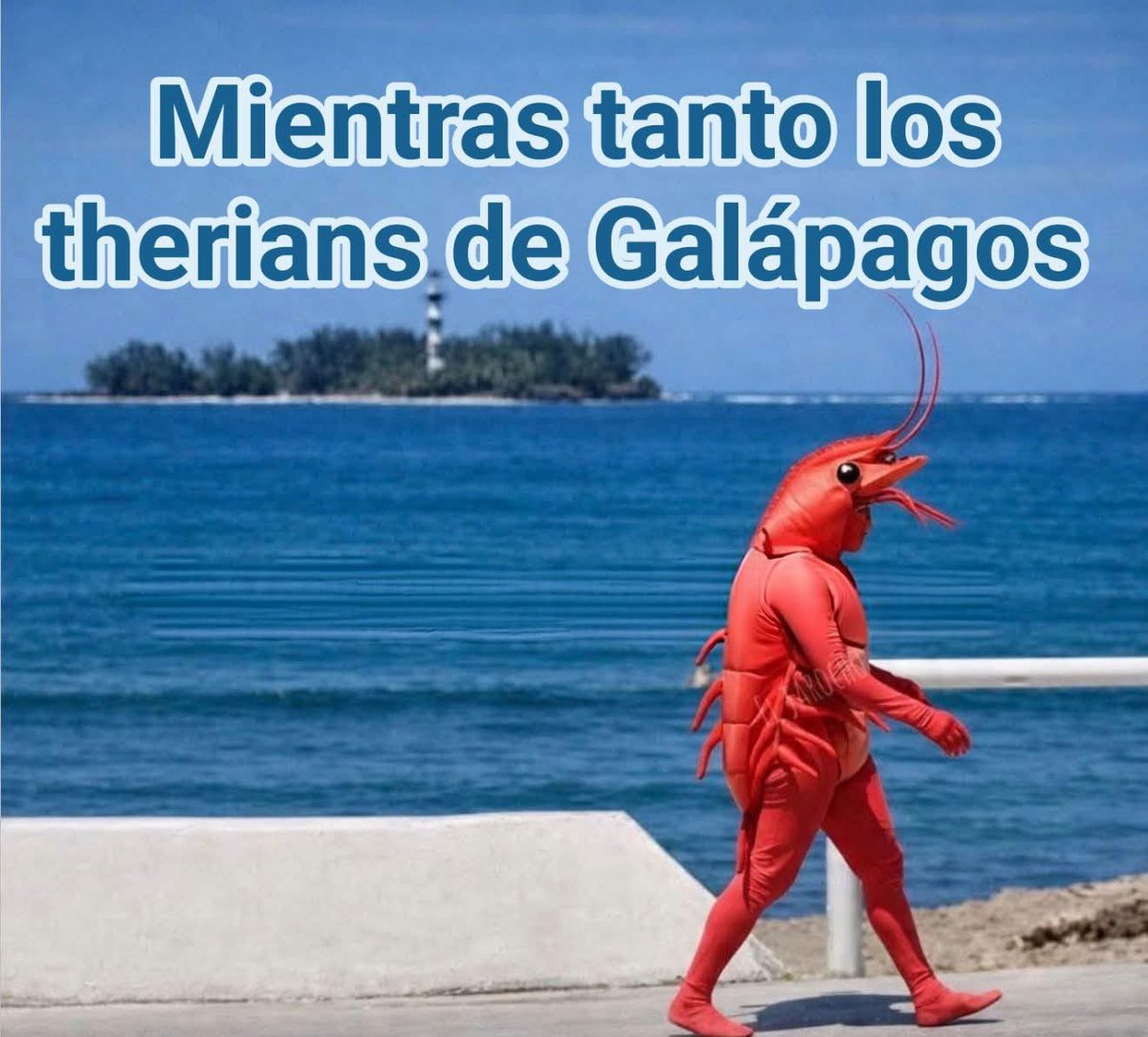 El Angelillo tweet media