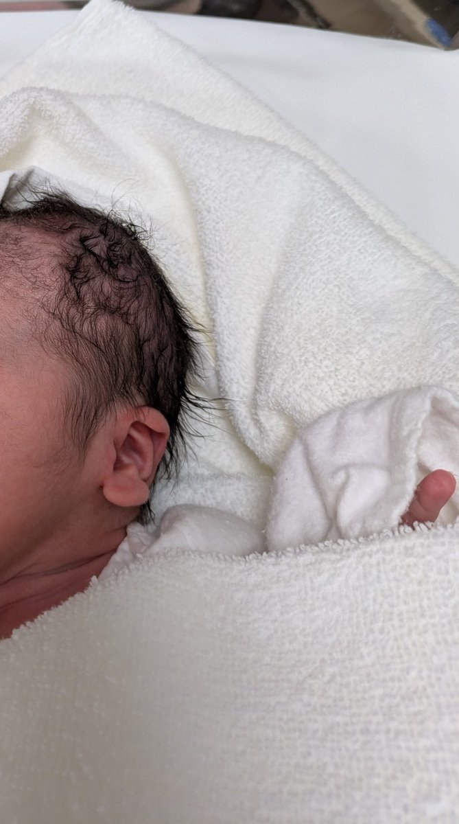 よっしー tweet media