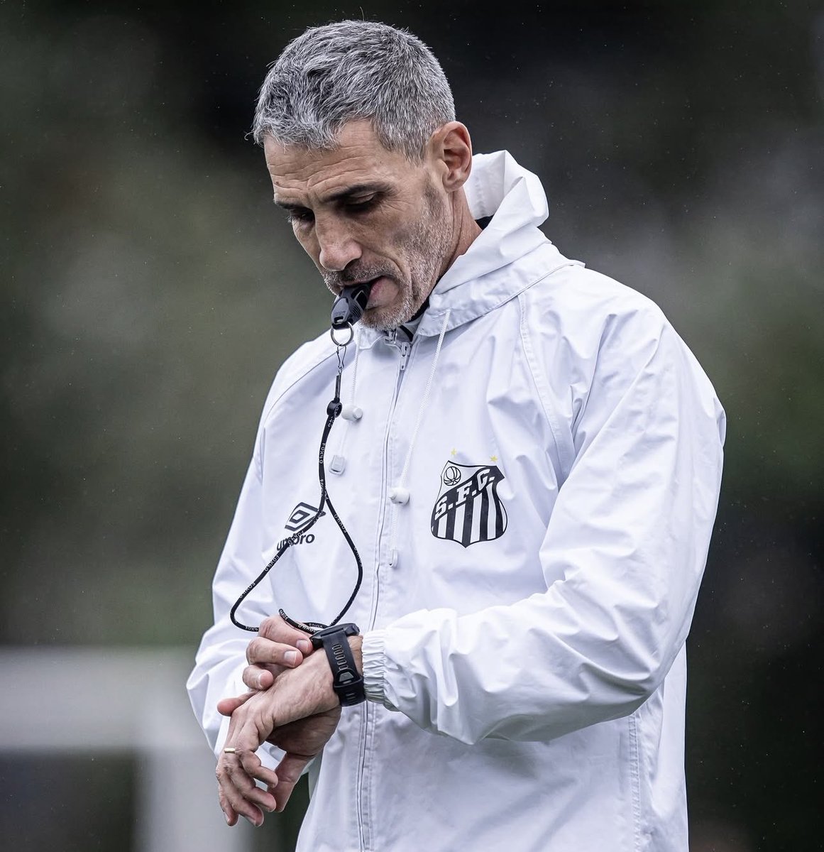 Transferências 24h tweet media