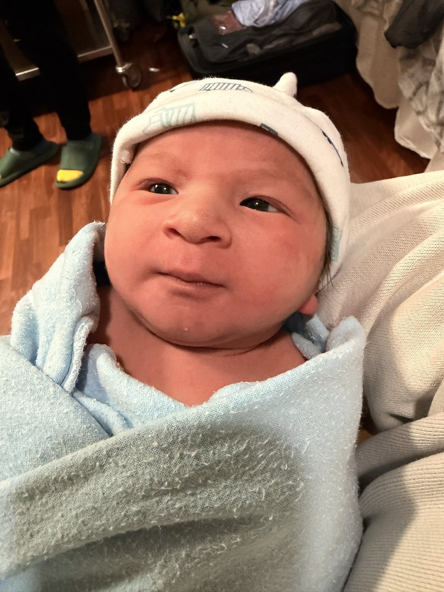 Alvin Tedjo tweet media