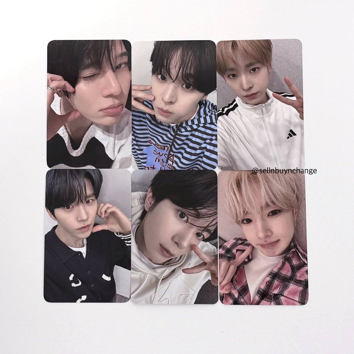 取引垢 tweet media