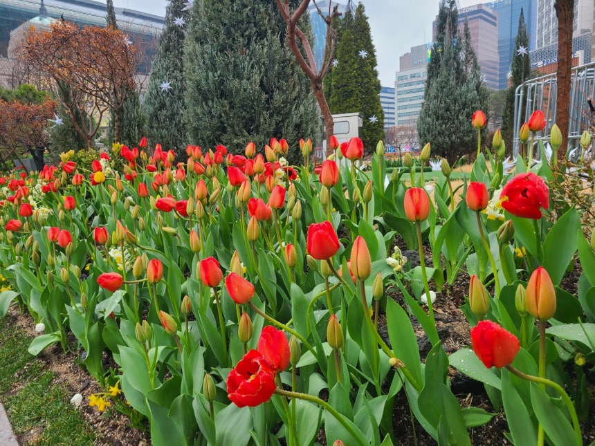 BTS Charts News tweet media