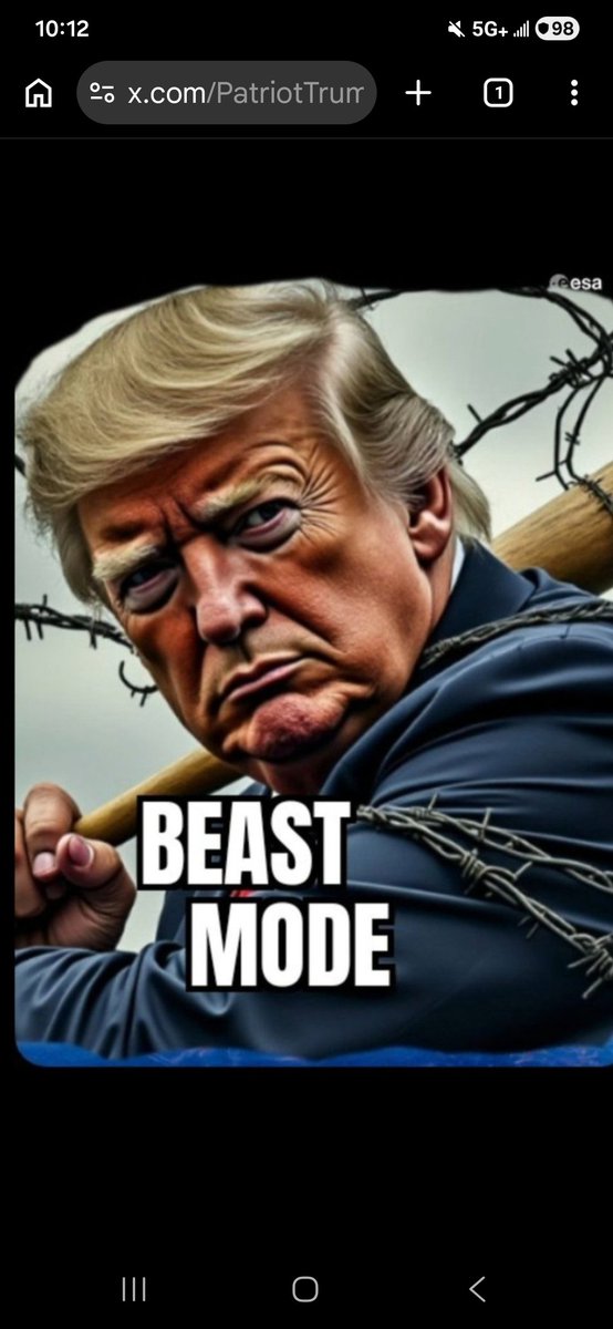 TRUMPSPATRIOT tweet media