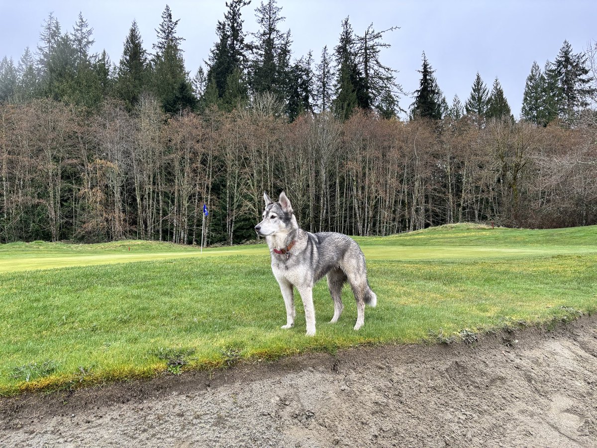 Pat Lethbridge tweet media