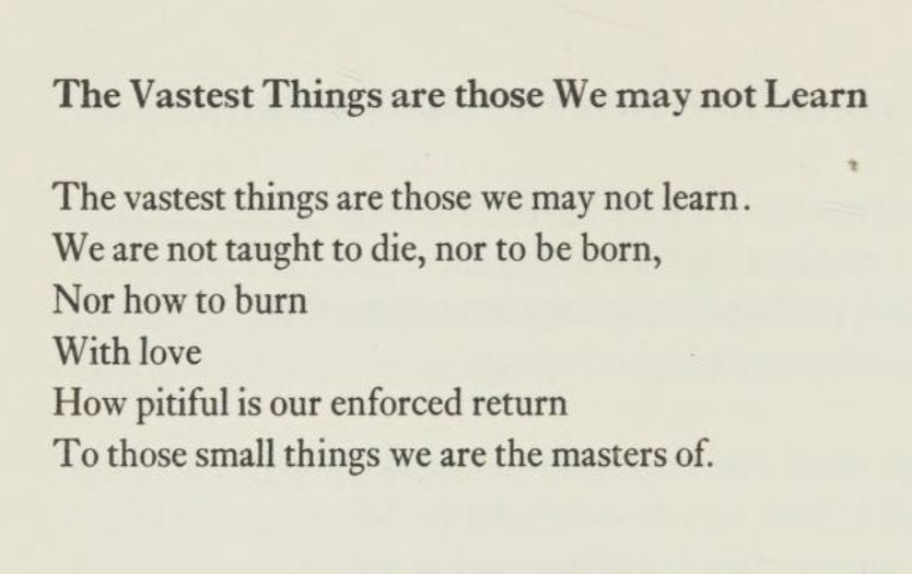 Isidro Li tweet media