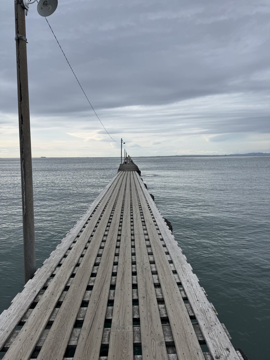 株式会社エージェントゲート -AgentGate- tweet media