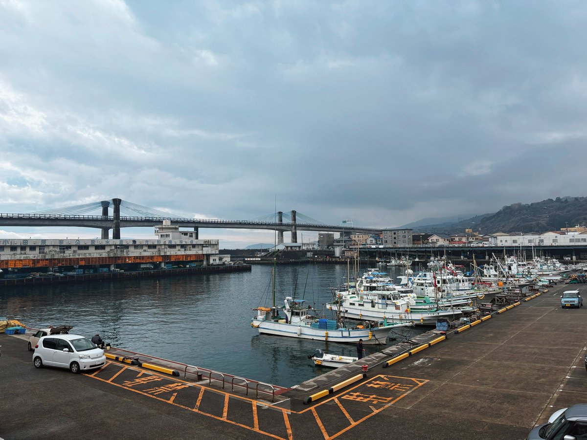 おりえ（2026販売中🐶🗓️） tweet media