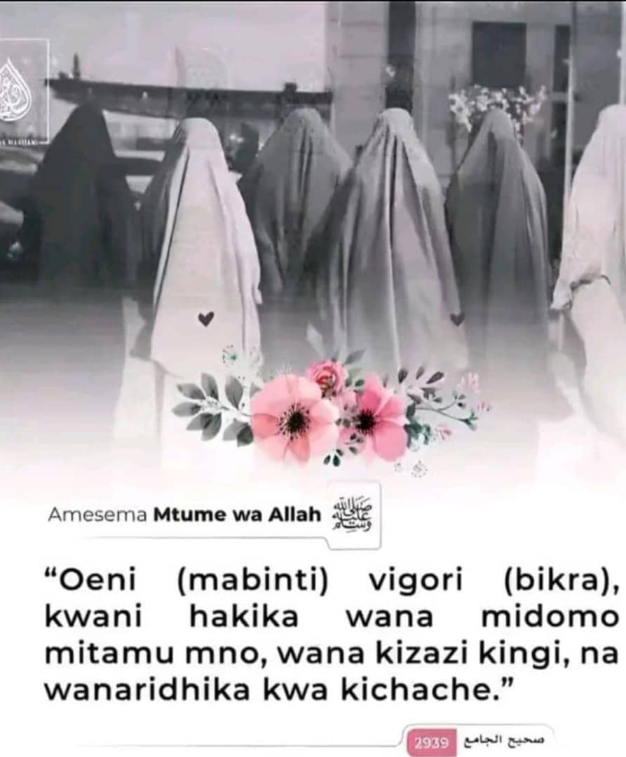 Malcolm 🏆 tweet media