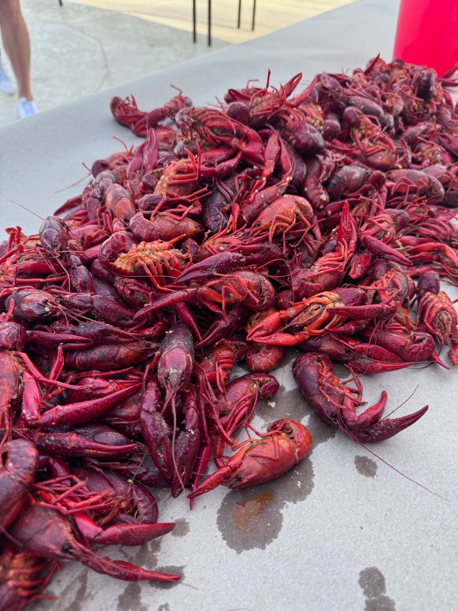 LSHS Baseball Nation tweet media