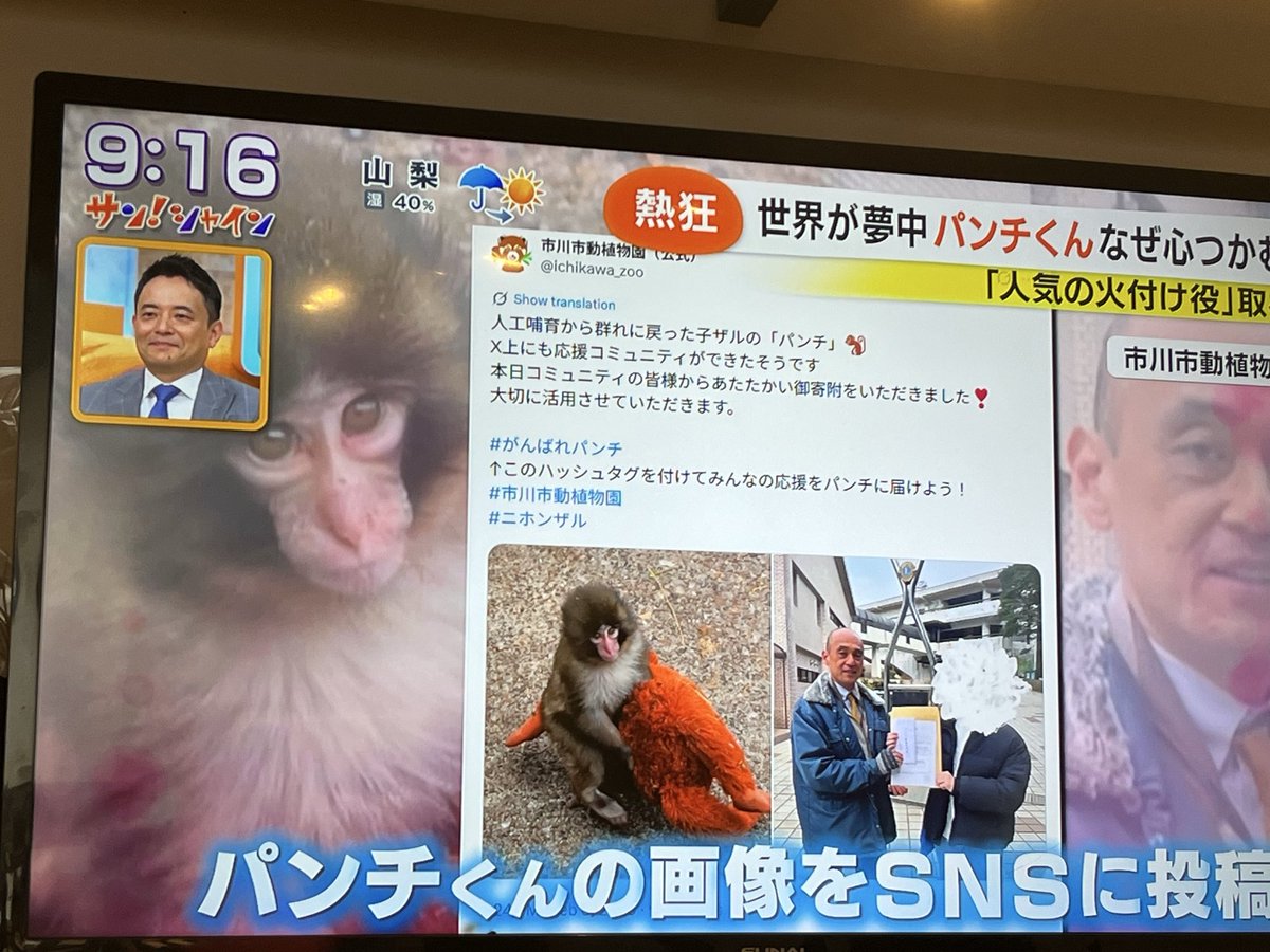 パンチくんとオランママ tweet media