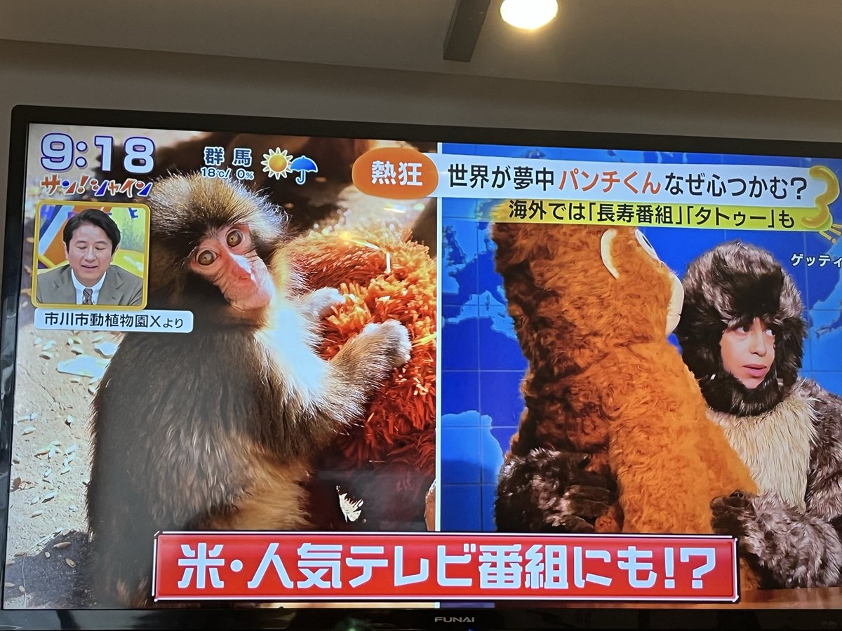 パンチくんとオランママ tweet media