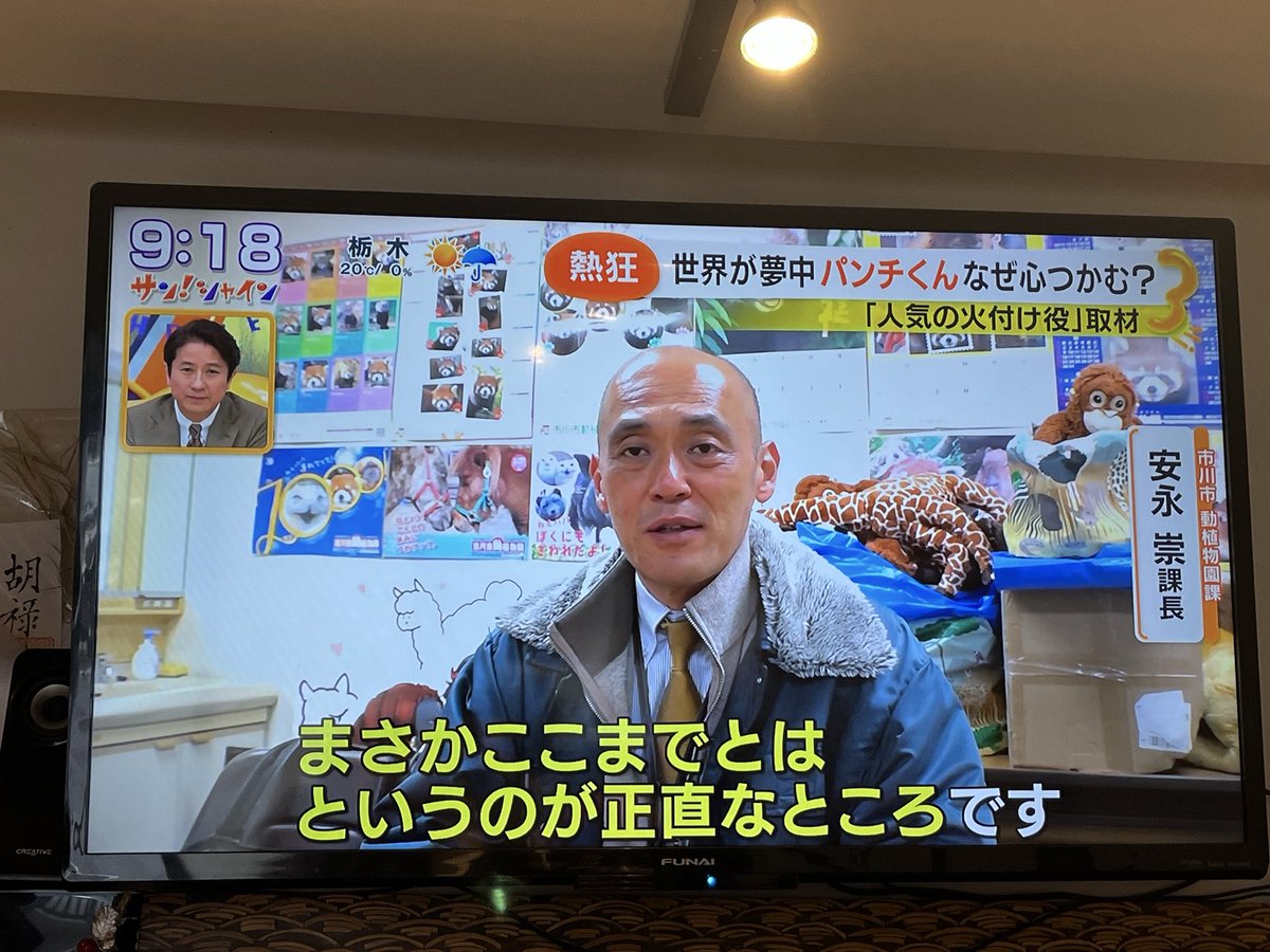 パンチくんとオランママ tweet media