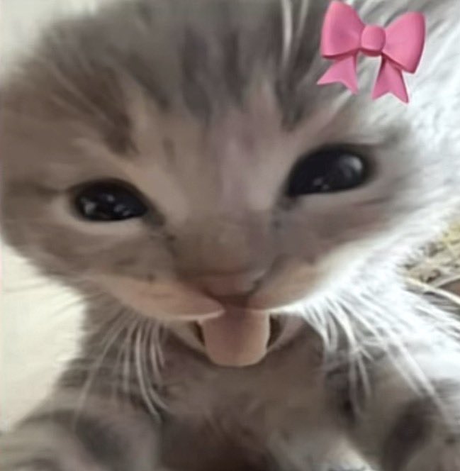 AsamiStuff⭐️💙 tweet media