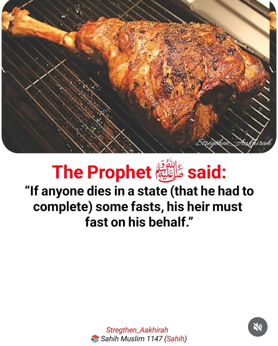 Haleema Abubakar🌹 tweet media