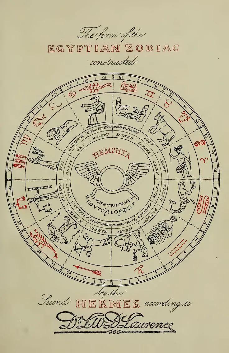 👑🇪🇬Farida Al-Masri🇪🇬👑 tweet media