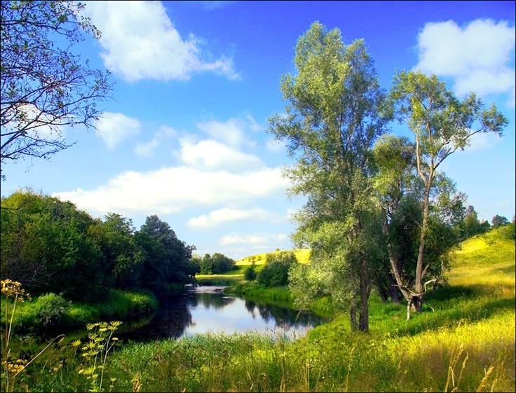 Exploreforever tweet media