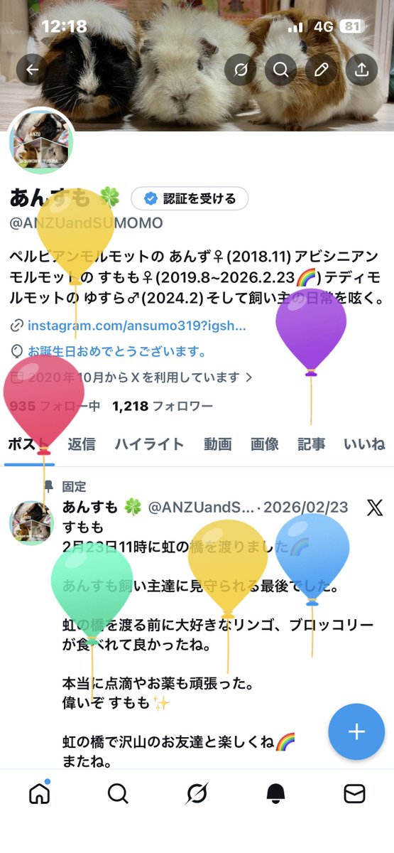 あんすも 🍀 tweet media