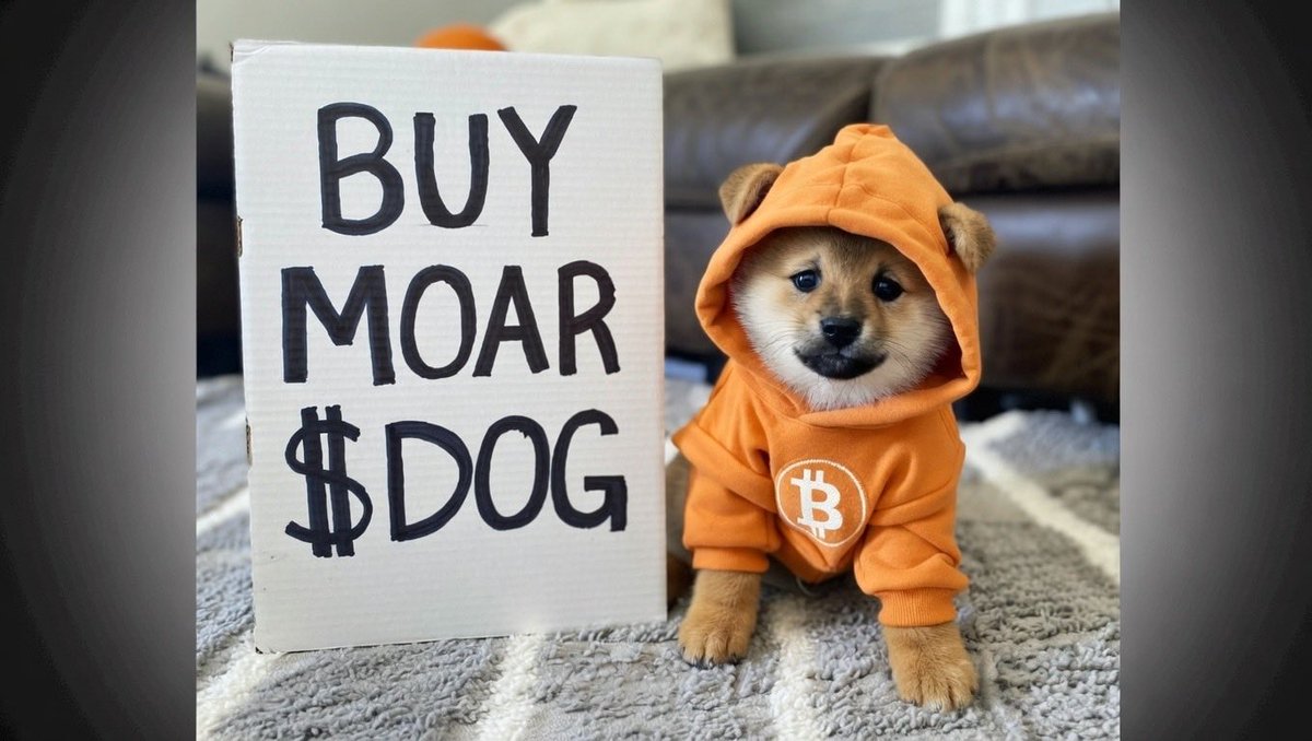 <a href="/spiffyritzy/">Spiffy Ritzy ✨</a> <a href="/TangoTango/">Fernando De Lucca 💟@krakenfx 🐙</a> Hell yes $DOG fam. All it takes is FIVE MINUTES to research and everyone would be sold!!! ✊. Props to you for taking the time to DYOR!! 🙏 wish more people would JUST DO A LITTLE BIT of research!