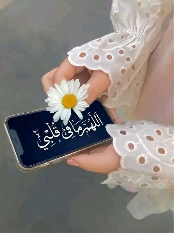 d_amnyt's tweet photo. https://t.co/2GUFfVjWOM
