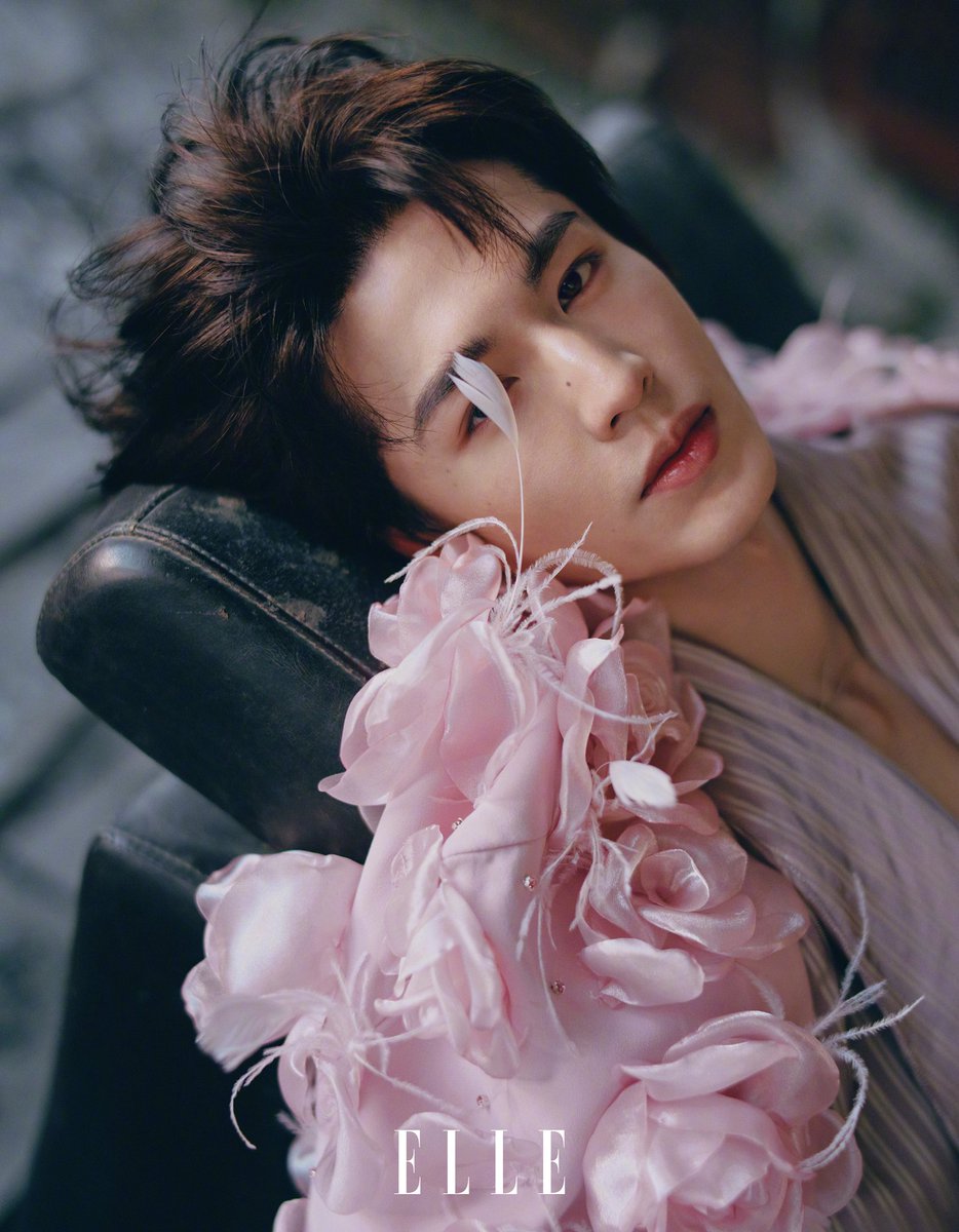 张凌赫的小核桃𖹭 tweet media