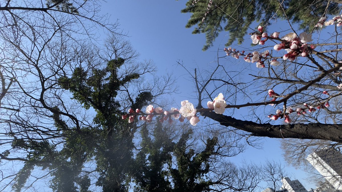 Weekly Fascination™ tweet media