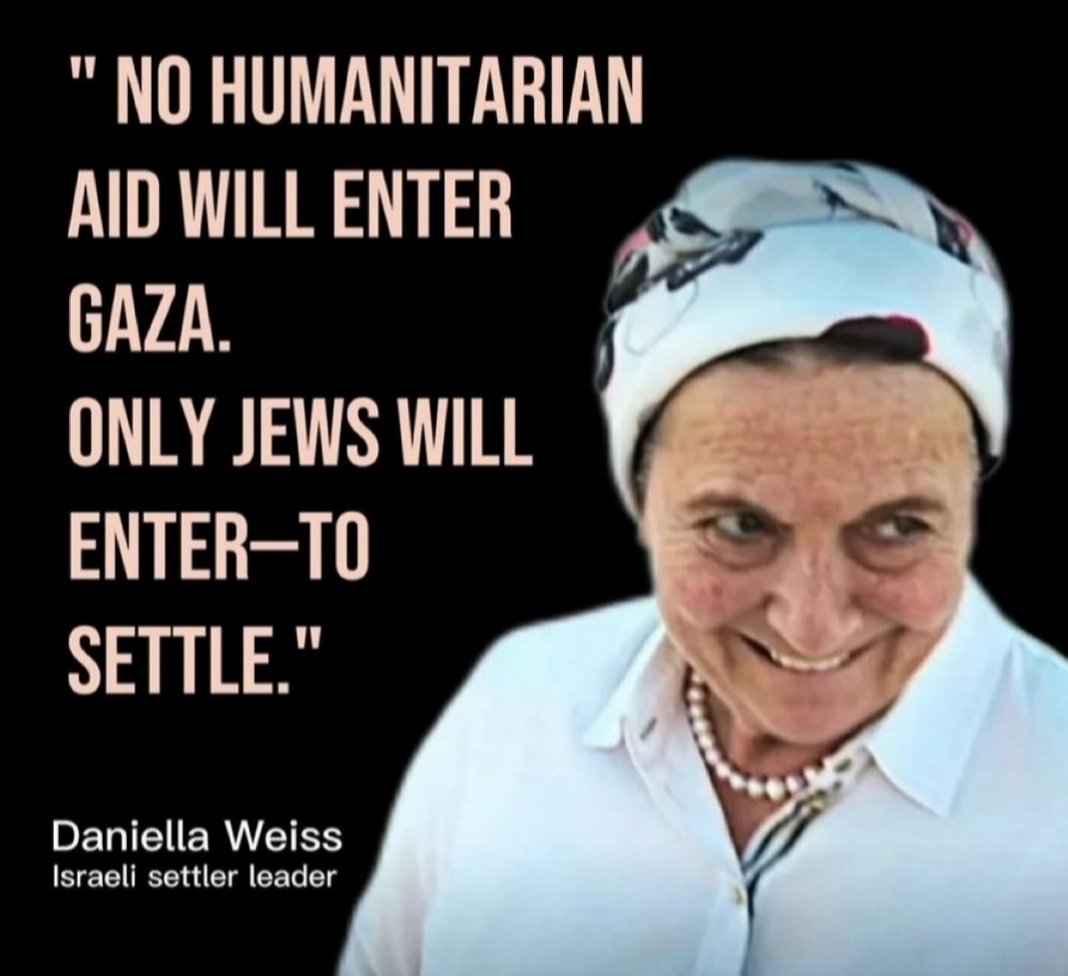 Noor 🇵🇸 tweet media