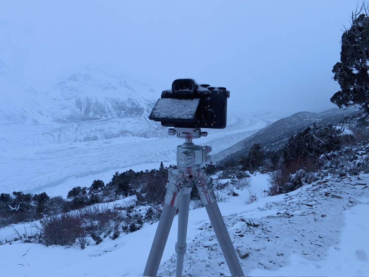 折光邮差 tweet media