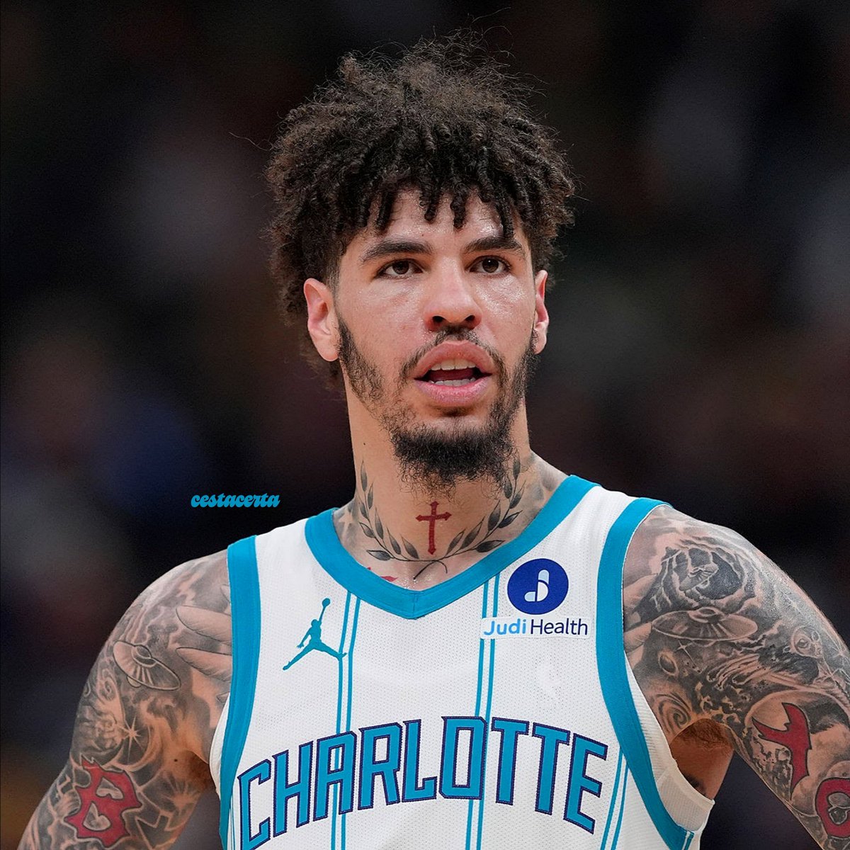 Cesta Certa tweet media