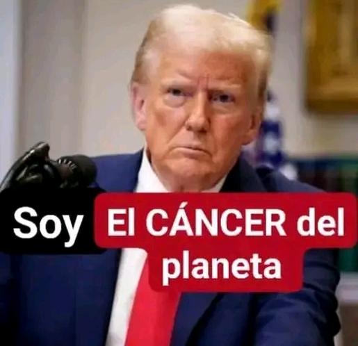 Mexicana Patriota 🇲🇽🇲🇽🇲🇽 Primero México. tweet media