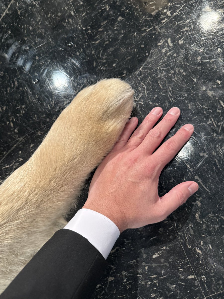 Nick Ciletti tweet media