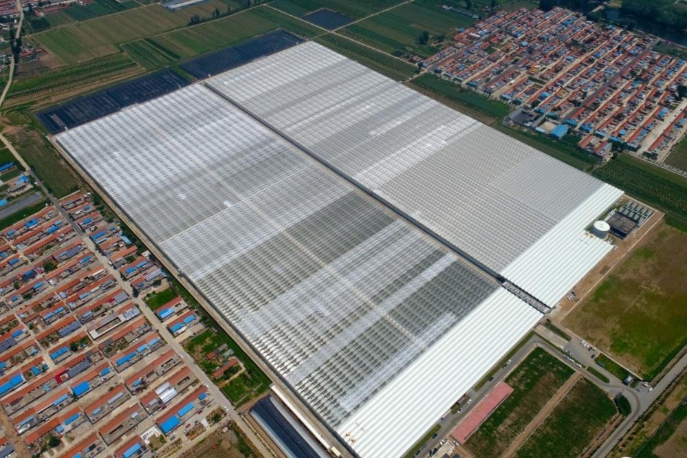 lele xie tweet media