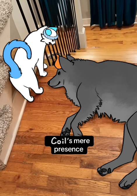 the ounce tweet media