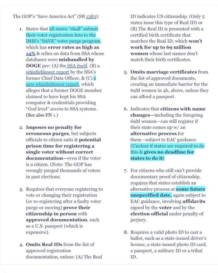 Tactical Cat tweet media