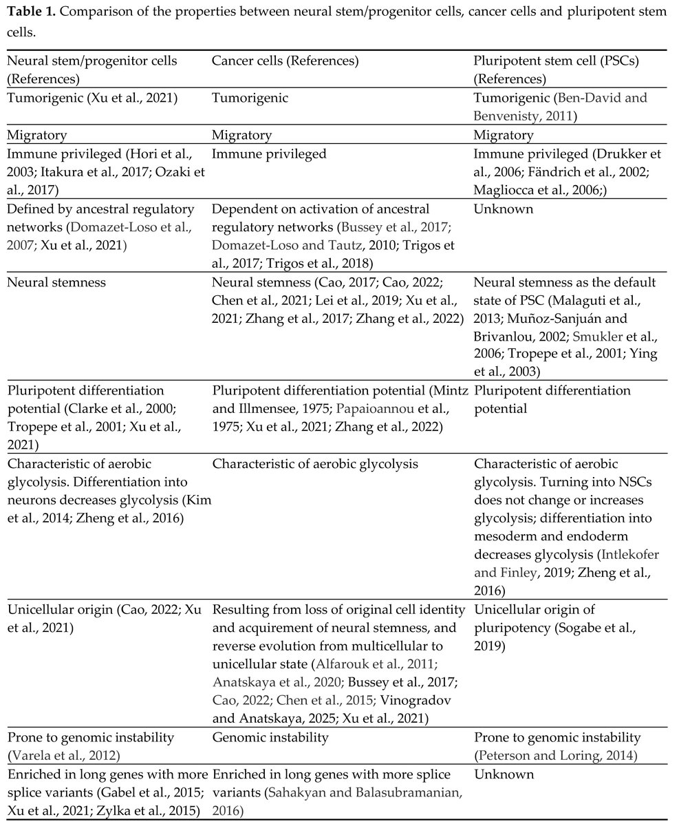 Ying Cao tweet media
