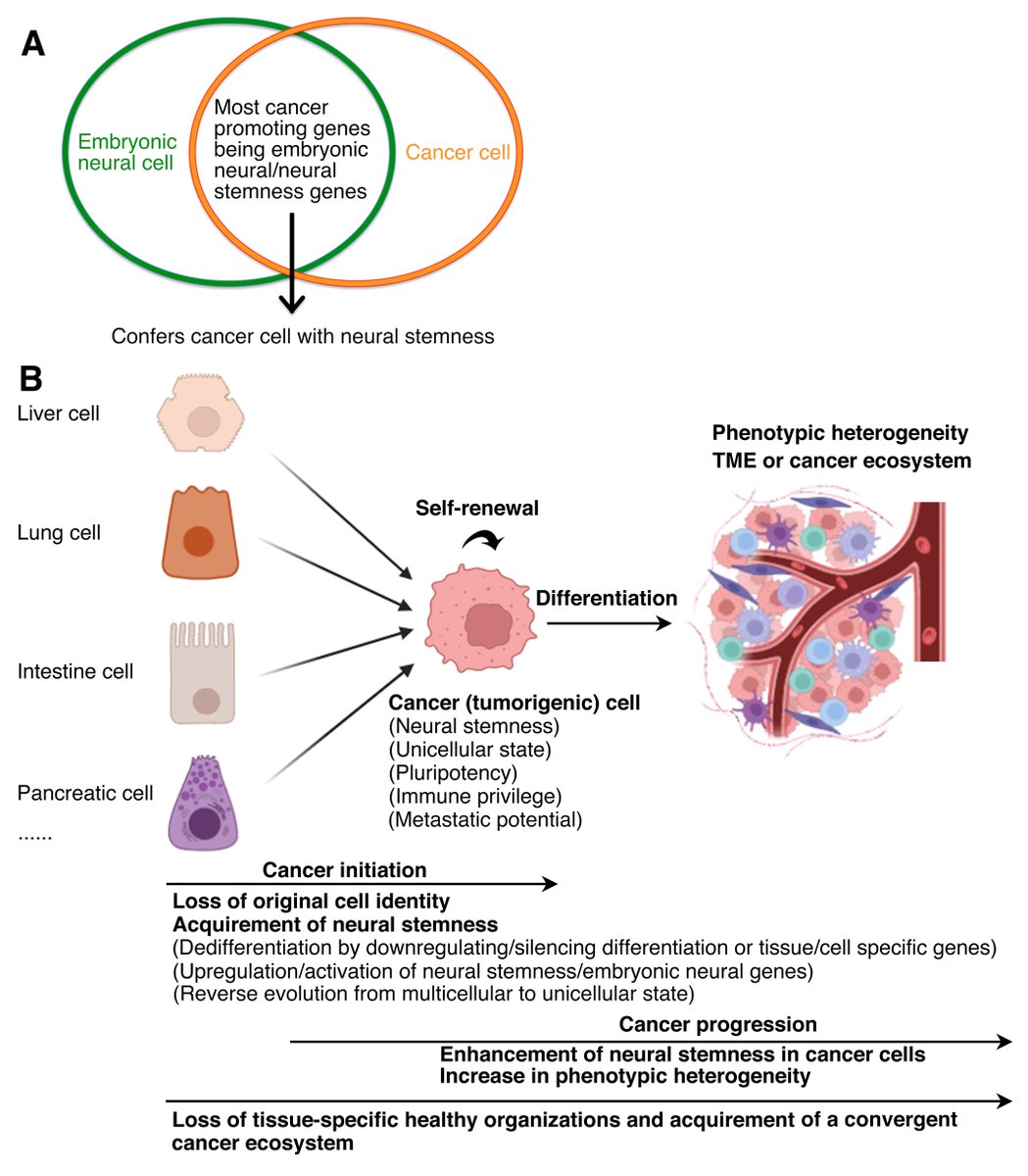 Ying Cao tweet media