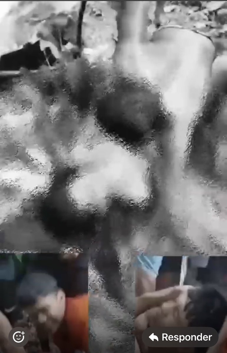 Melquisedec Torres tweet media