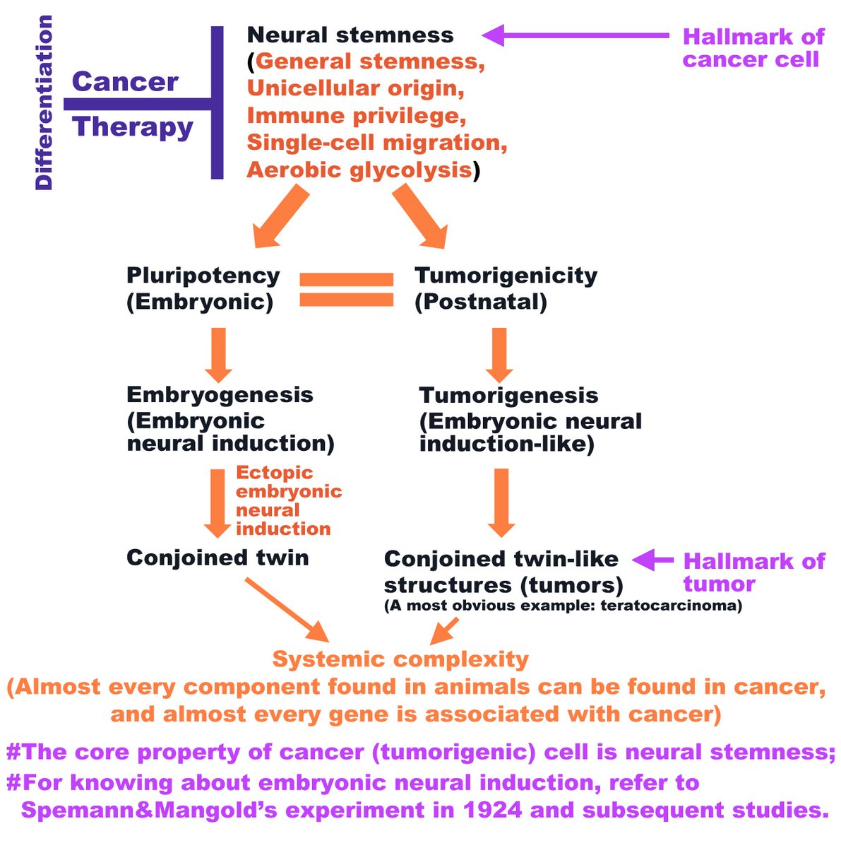 Ying Cao tweet media