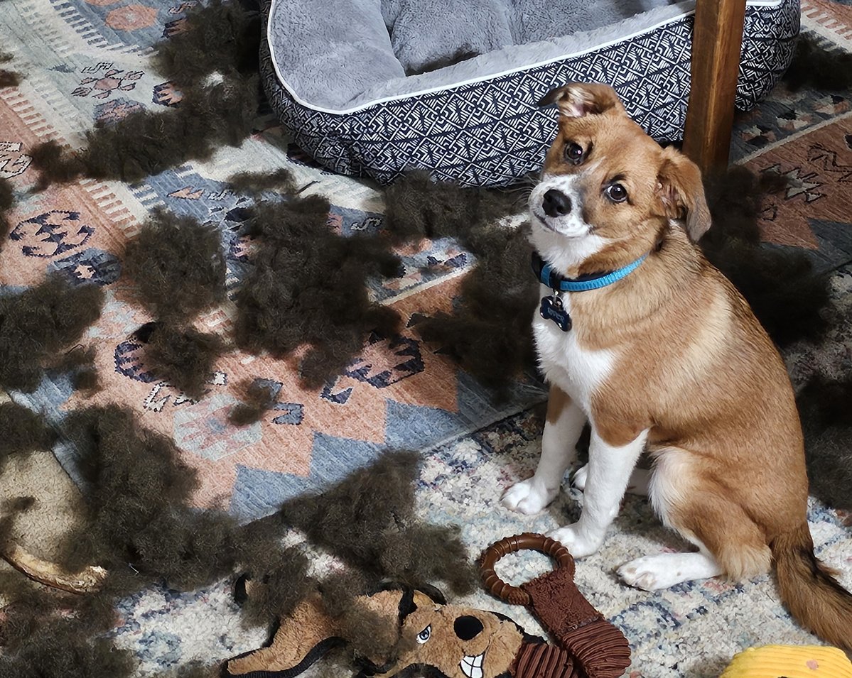 Otter 420 tweet media