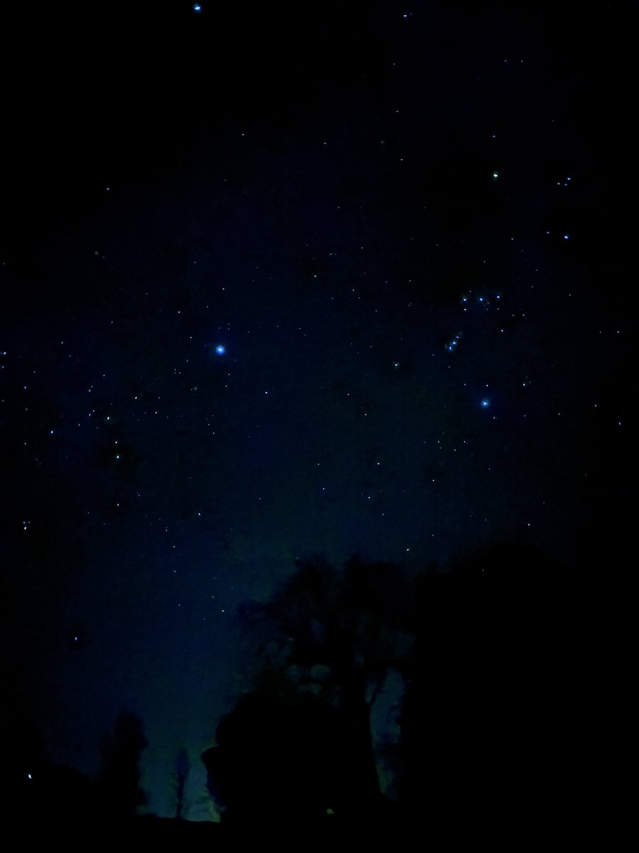 Bob Sturm tweet media