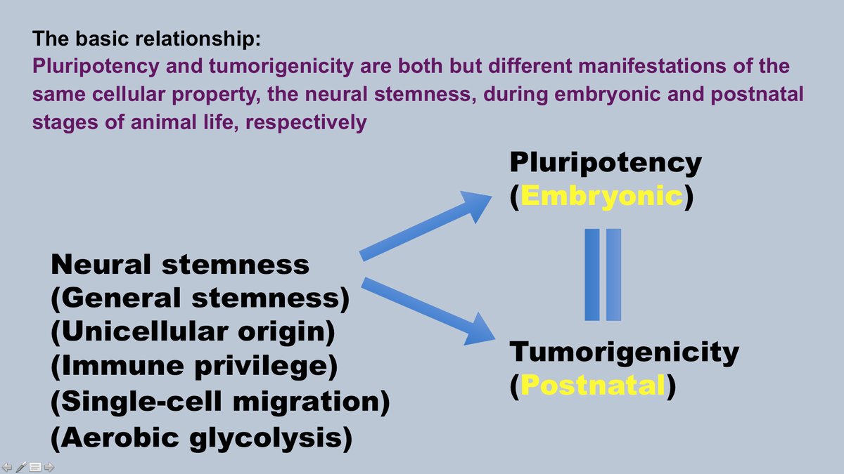 Ying Cao tweet media