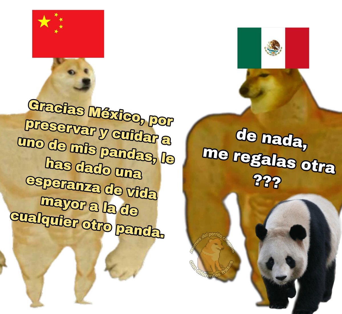 Animalitos en aprietos. tweet media