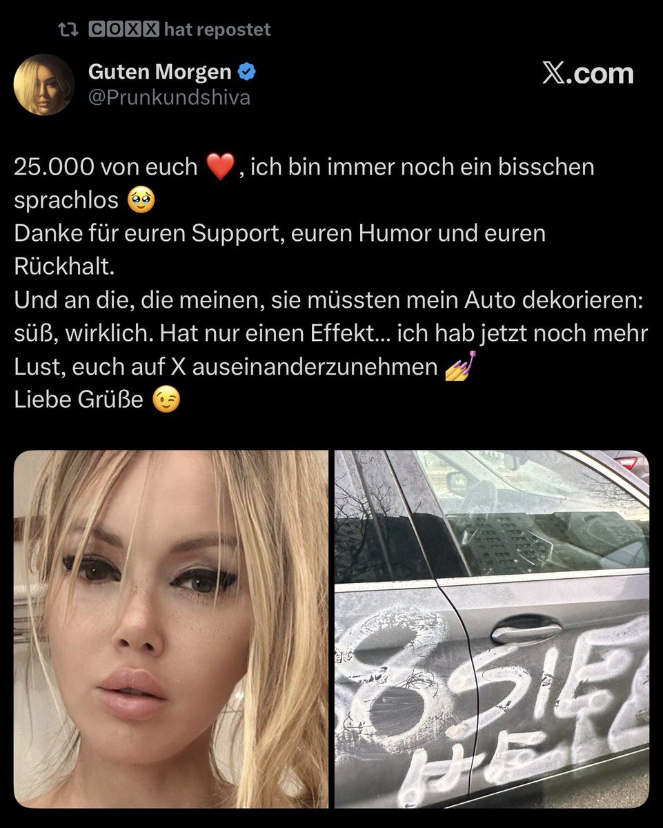 SCHNITZEL WALTER tweet media