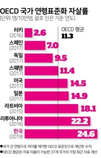 꿀벌깽이 tweet media