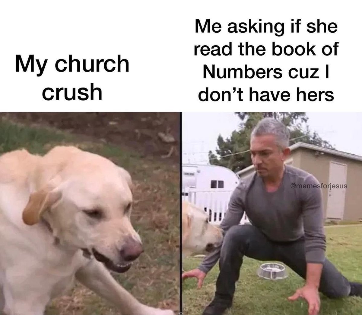 Christian Memes and Puns tweet media