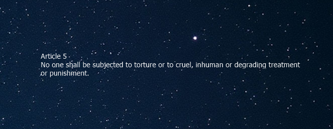 Pilot Beacon tweet media