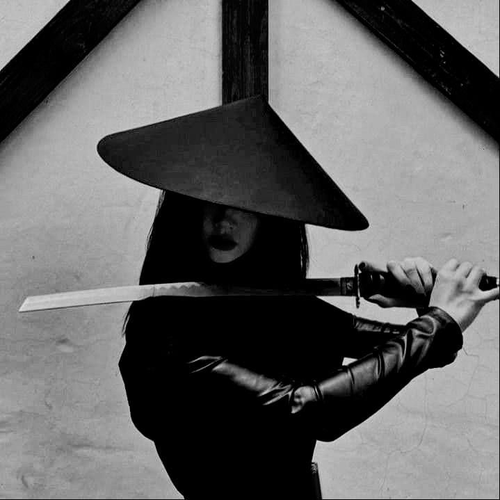 Eclyptic 黄道 tweet media